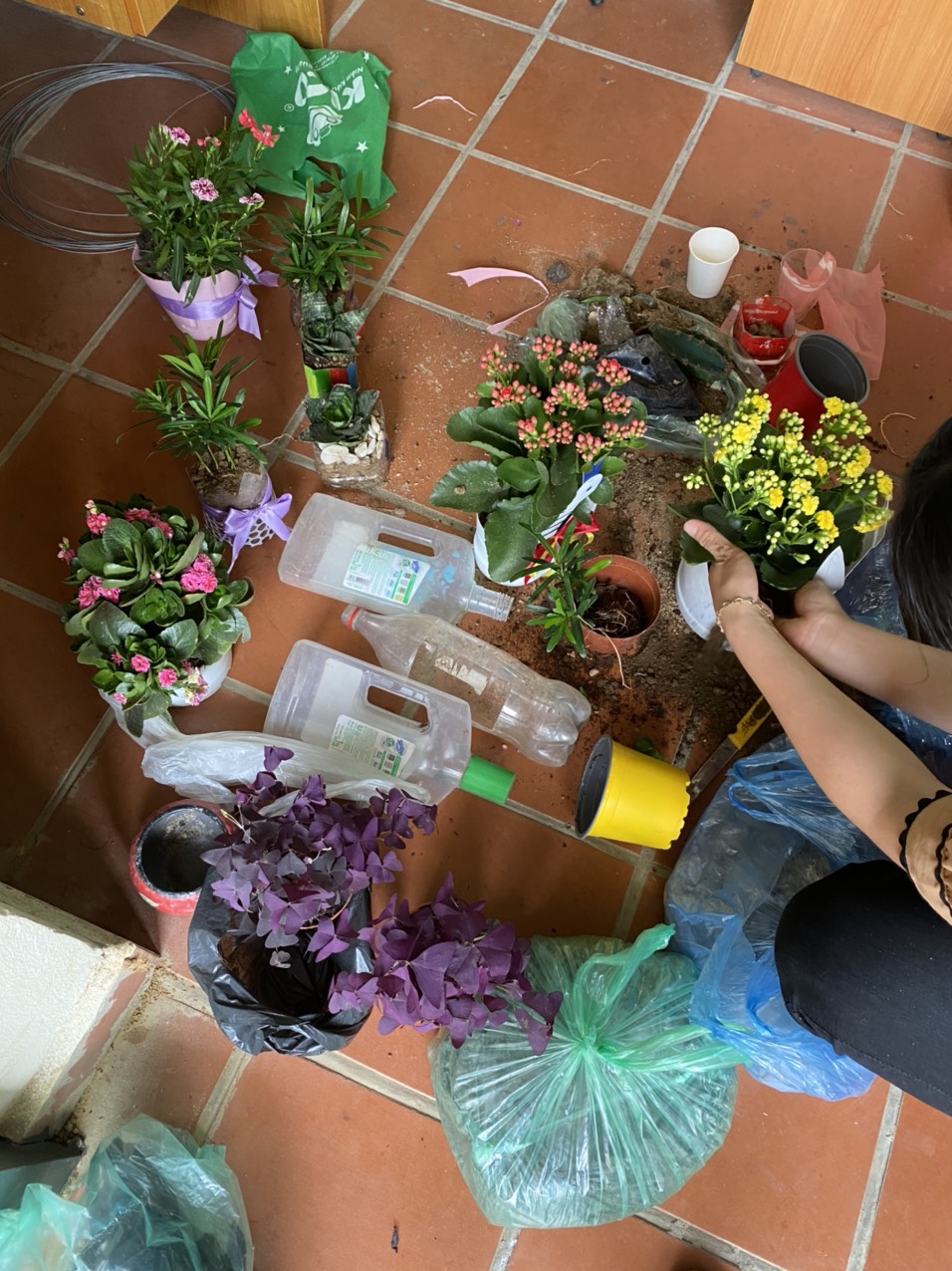 c1043ee1beb04cee15a1